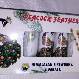 Peacock Feather (5 Pcs)